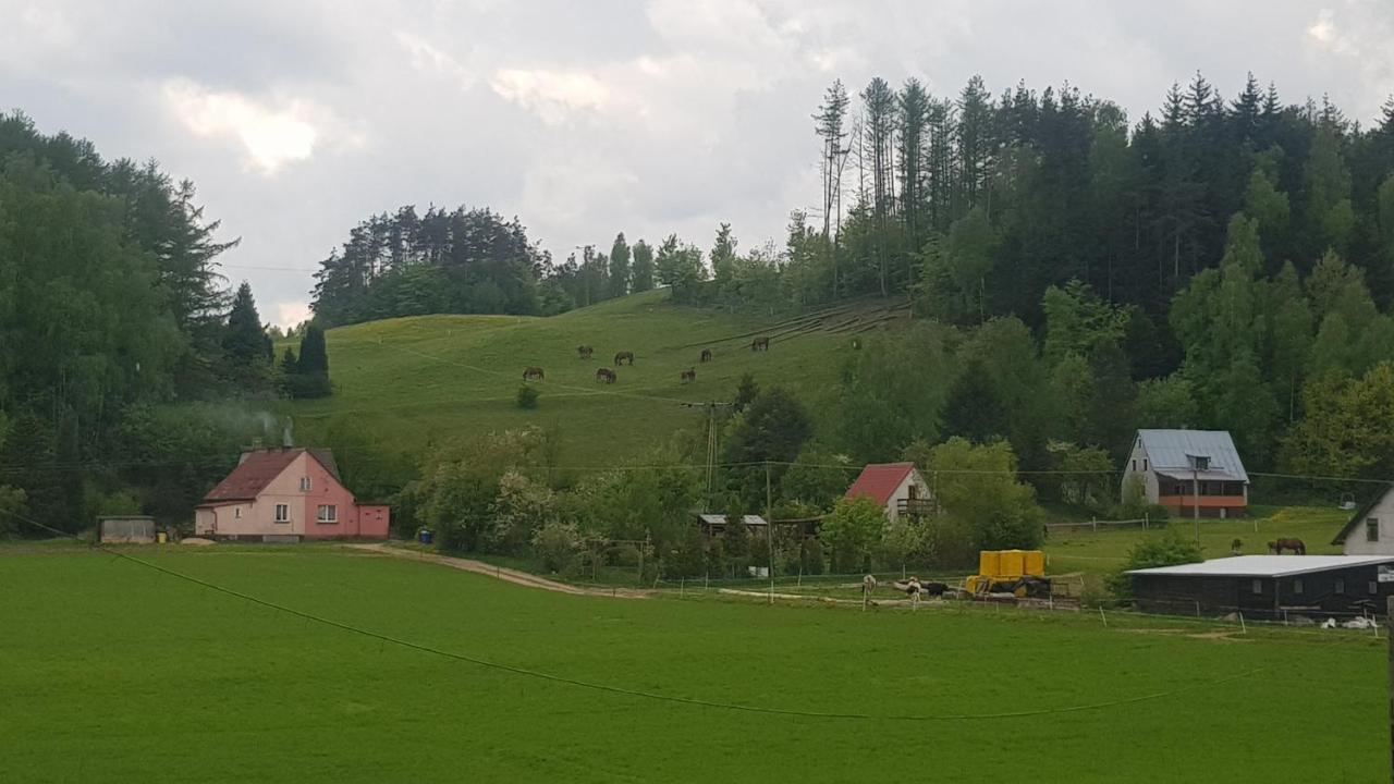 Przystanek Patulskie Pierszczewo