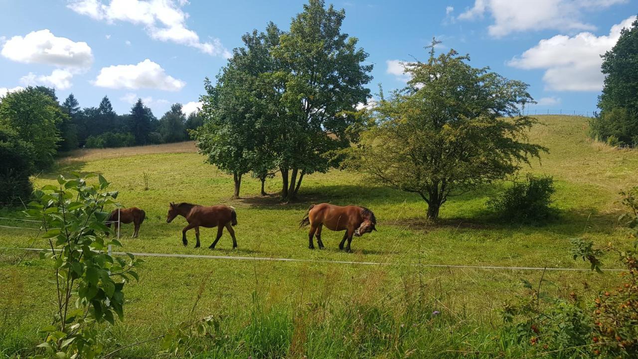 Przystanek Patulskie Pierszczewo