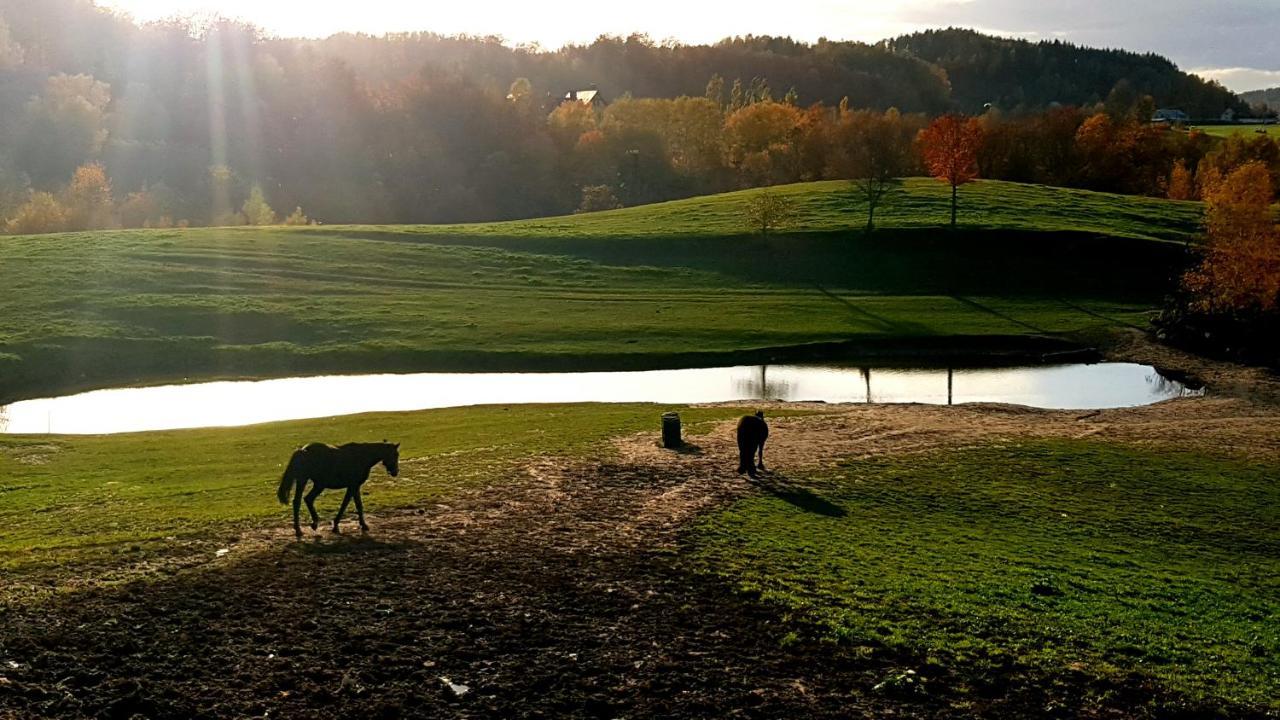 Przystanek Patulskie * Pierszczewo